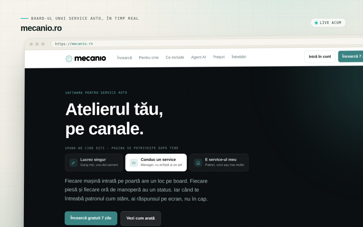 Captură de ecran de pe mecanio.ro